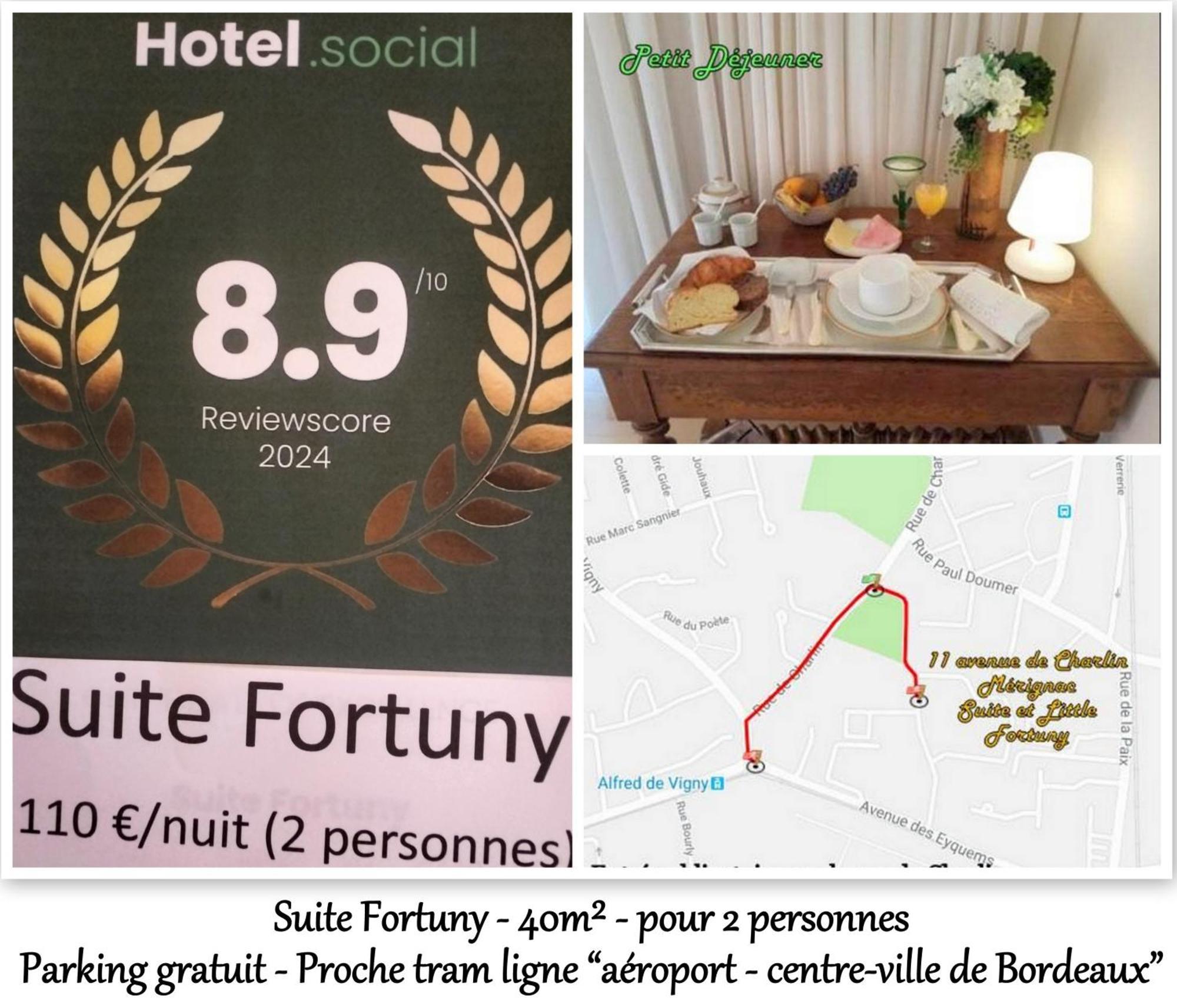 Le Fortuny - 3 Suites, 2 Apparts, 1 Chambre - Proche Tram Ligne Aeroport Et Parking Gratuit Merignac  Exterior photo